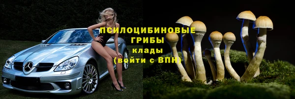 mix Алексин