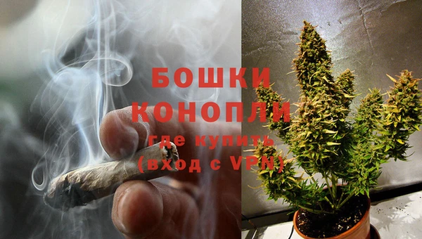 PSILOCYBIN Абдулино