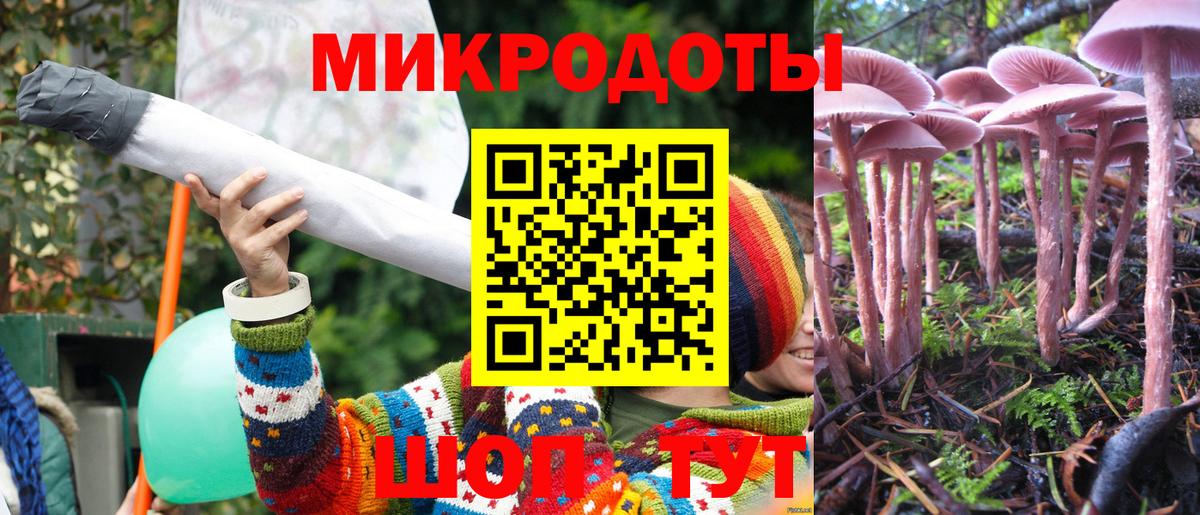 Галлюциногенные грибы Magic Shrooms Ржев