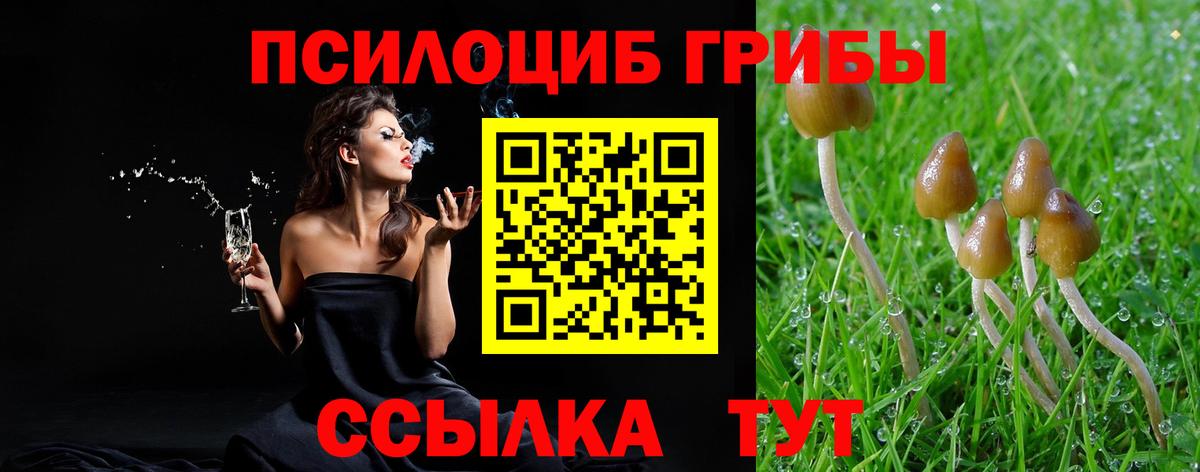 Ржев  Псилоцибиновые грибы MAGIC MUSHROOMS  Псилоцибиновые грибы Psilocybine cubensis  где найти наркотики  Вход с VPN 